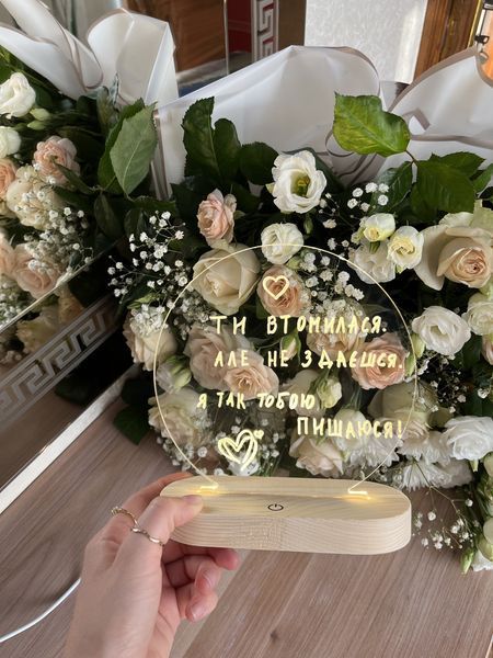 Планер ночник с деревянной подставкой и сенсорной кнопкой, теплая белая подсветка PTP1 фото
