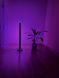 LED RGB Торшер деревянный в стиле лофт LEDT фото 3